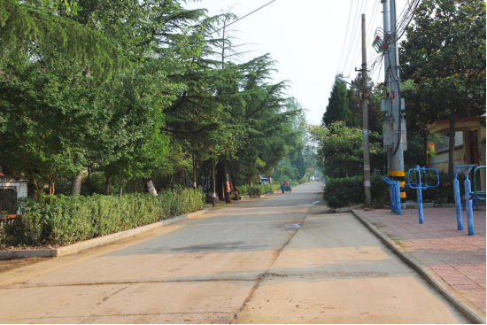 山东枣庄：峄城区底阁镇扎实推进全国文明城市创建