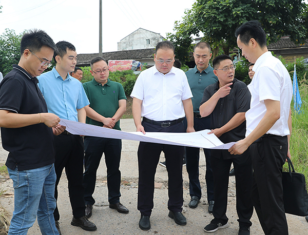 自贡市大安区委书记彭长林带队调研重大项目建设情况_fororder_1调研现场