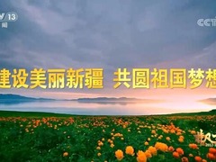 【奋进新征程 建功新时代·非凡十年】新疆_fororder_QQ截图20220810111417