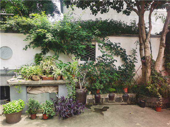 苏州相城阳澄湖农家小庭院展现美丽大风景_fororder_7