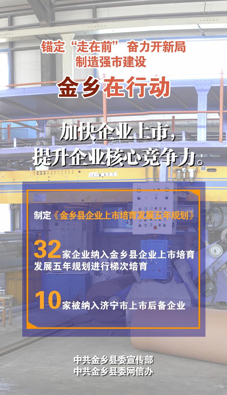 制造强市建设看济宁丨锚定“走在前” 奋力开新局 制造强市建设 金乡在行动