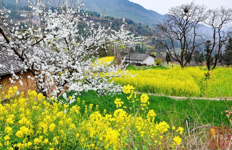 （转载）图集 | 四川摄影家10年拍摄嘉陵江8万幅美景 展现人文生态之美