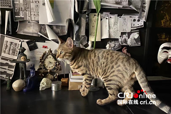游走中意——新锐服装设计师李善兰的黑色表达_fororder_微信图片_202207050959282