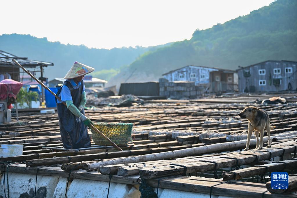 福建连江：海洋产业助力乡村振兴