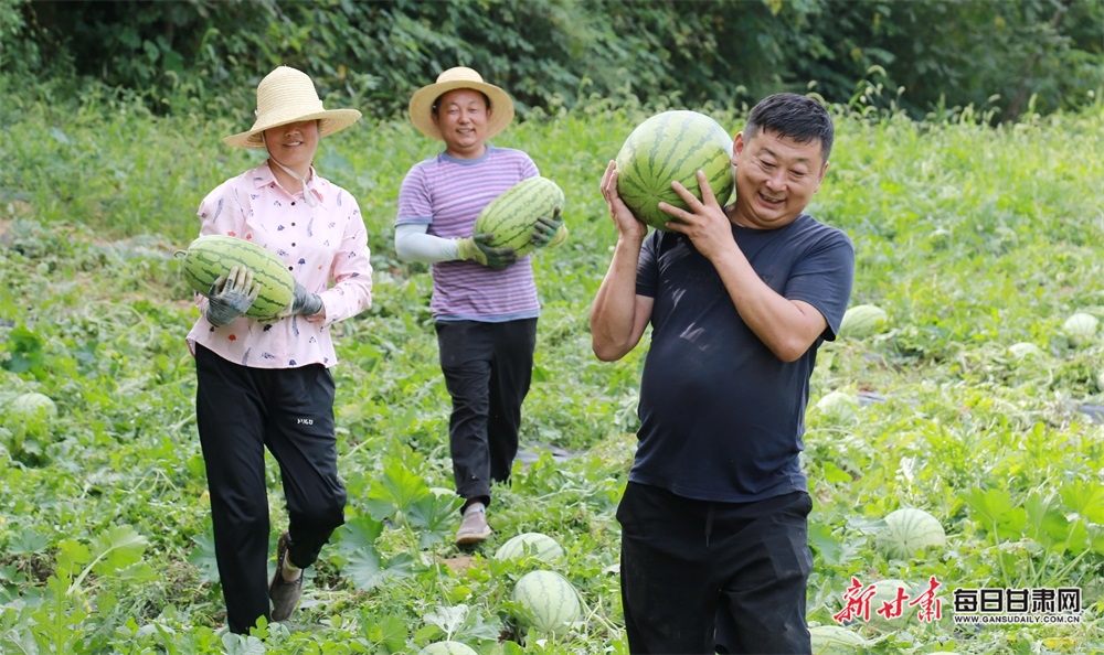 【陇南】陇南徽县泥阳镇打造“一村一品”特色产业_fororder_3