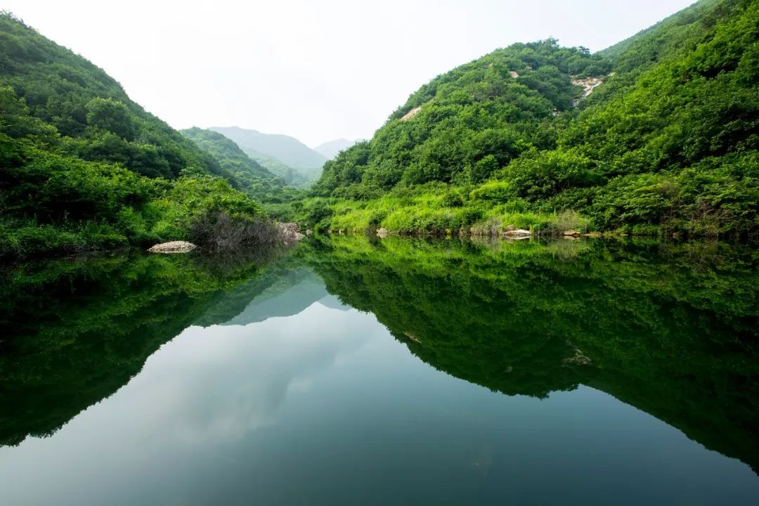 做好督察整改 建设美丽大连