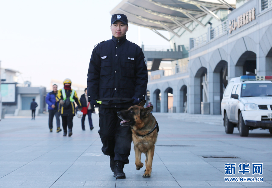 【图说吉林】【移动版（轮播）】【社会民生（标题）】训导员带警犬值守长春春运