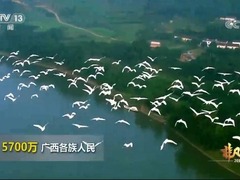 【奋进新征程 建功新时代·非凡十年】广西_fororder_QQ截图20220801085953