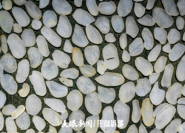 贵阳花溪镇山村：世外桃源 避暑胜地