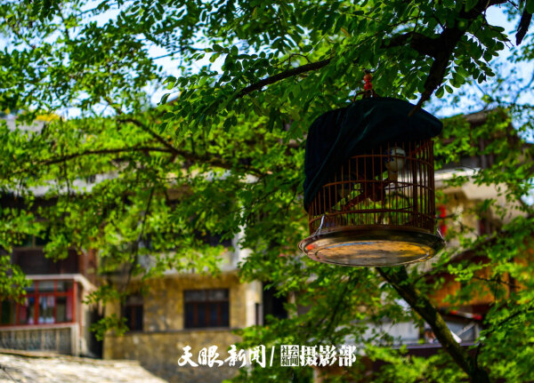 贵阳花溪镇山村：世外桃源 避暑胜地