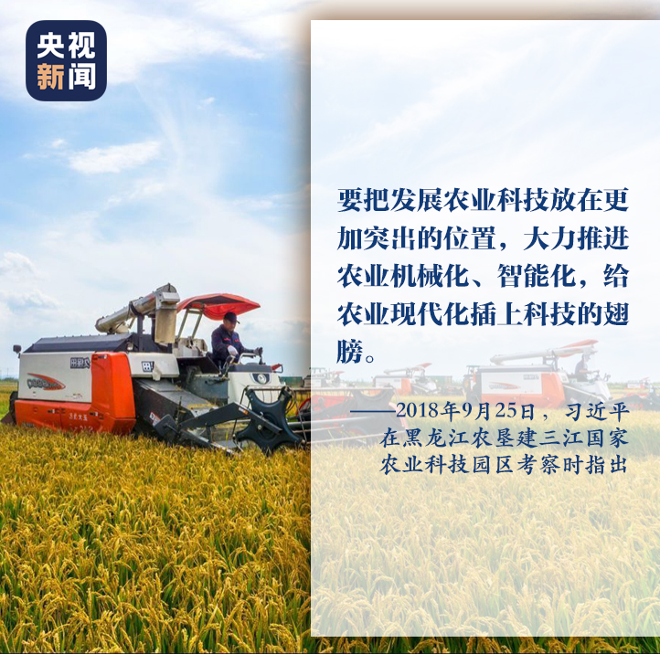 一枝一叶总关情丨让农民挑上“金扁担”