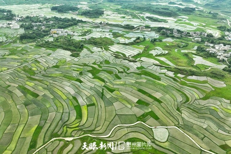 （中首）贵阳花溪高坡：云里山间秀诗行