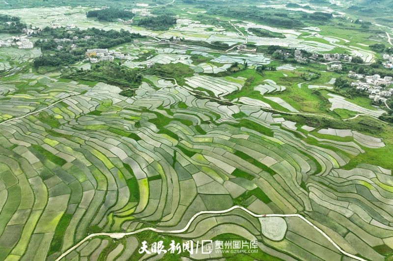（中首）贵阳花溪高坡：云里山间秀诗行