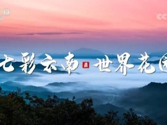 【奋进新征程 建功新时代·非凡十年】云南_fororder_QQ截图20220804110547