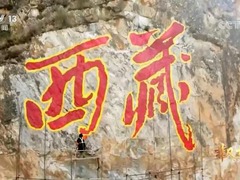 【奋进新征程 建功新时代·非凡十年】西藏_fororder_QQ截图20220805141104