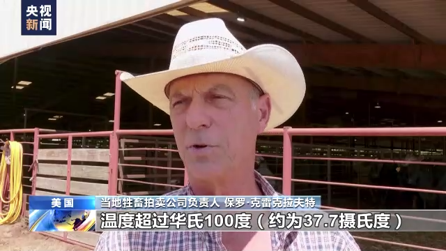 高温干旱夹击 美国多地麻烦不断