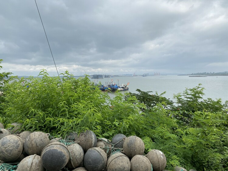 山东威海：金融助力“乡村蓝”行稳致远