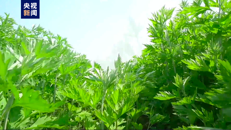 惊艳了！中国一县——地名虽然生僻 各自身怀绝技