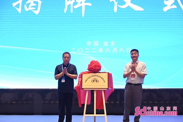 2022中国化工新材料产业发展战略研讨会在山东金乡召开