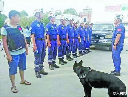 搜救犬水灾救援22天后殉职 主人洒泪:它太累了
