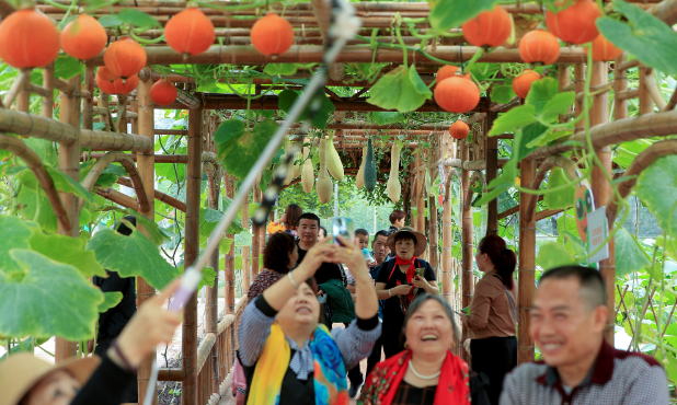 （转载）天府旅游名县巡礼｜泸州市江阳区：酒旅、农旅融合不断升级，借力“旅游+”塑造文旅新名片