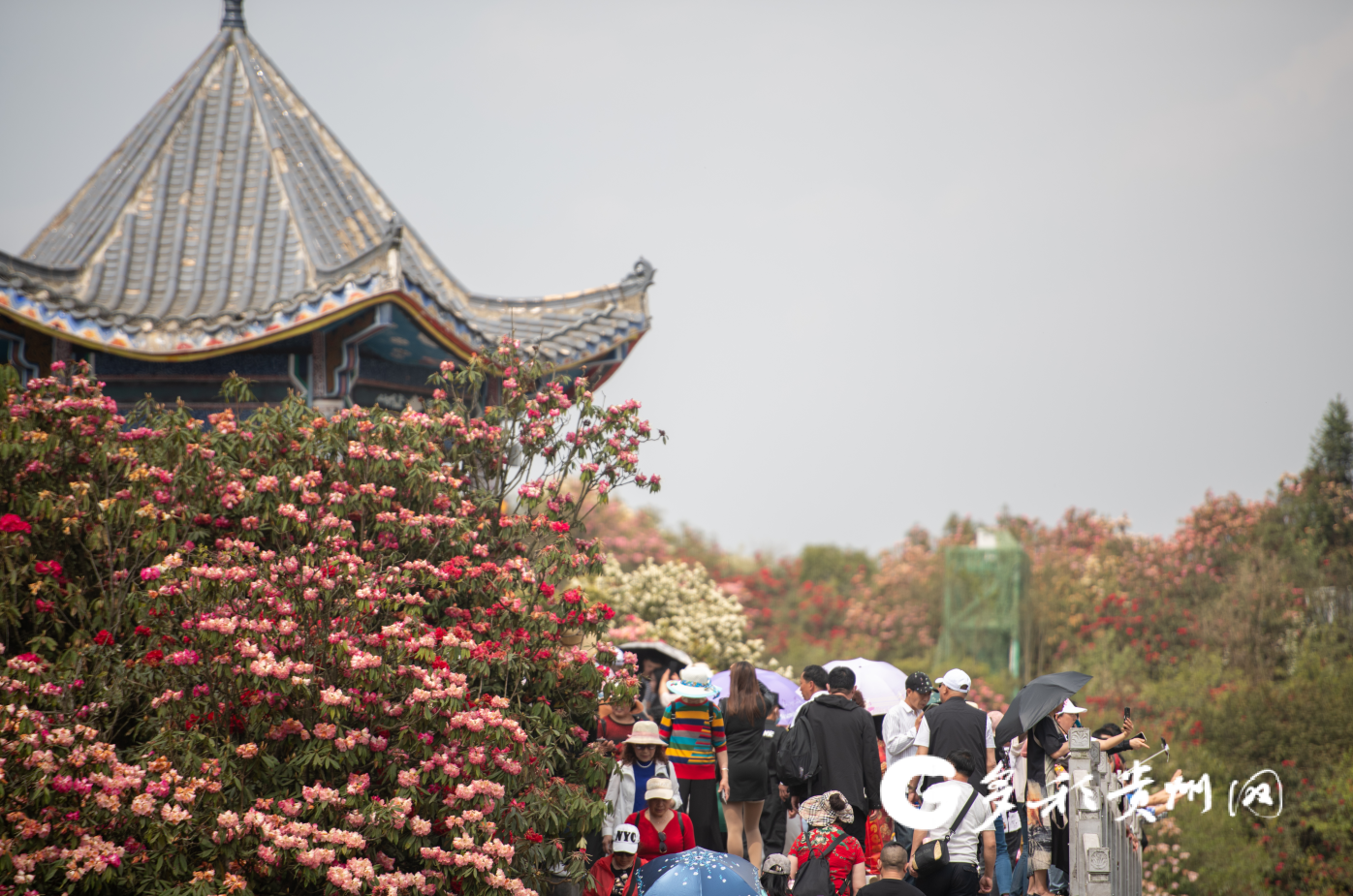 黔西：打造全域旅游两个核心圈
