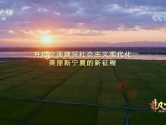 【奋进新征程 建功新时代·非凡十年】宁夏_fororder_QQ截图20220809133400