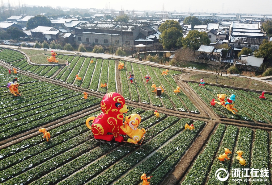 福犬花灯 乌镇贺春