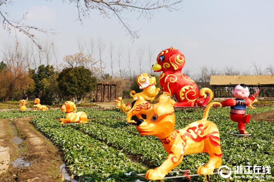 福犬花灯 乌镇贺春