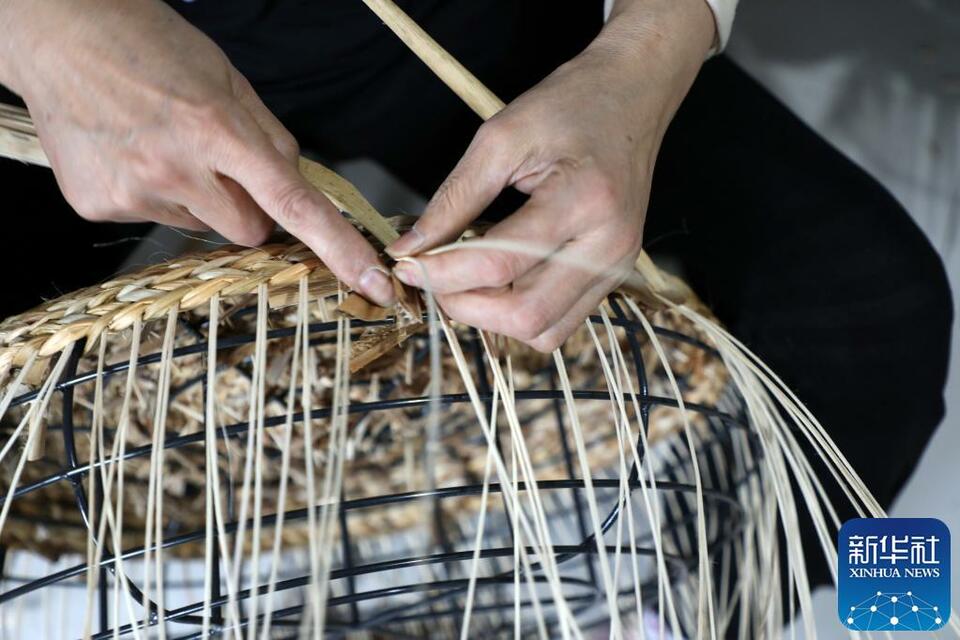 山东滨州：传统产业助力乡村振兴