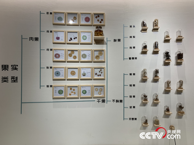 【美丽中国·网络媒体生态行】秦岭国家植物园：让“绿色”在秦岭蓬勃生长