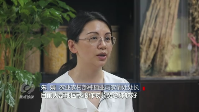 焦点访谈丨稻菽千重浪 科技助丰年