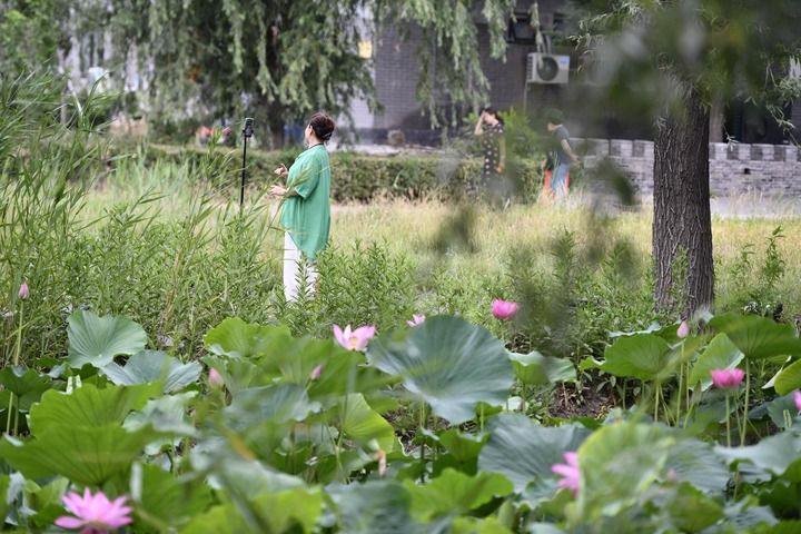 “千年古渡”觅乡愁