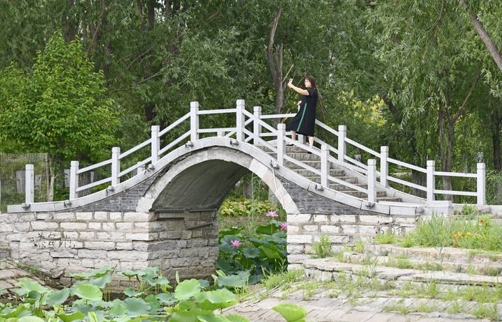 “千年古渡”觅乡愁