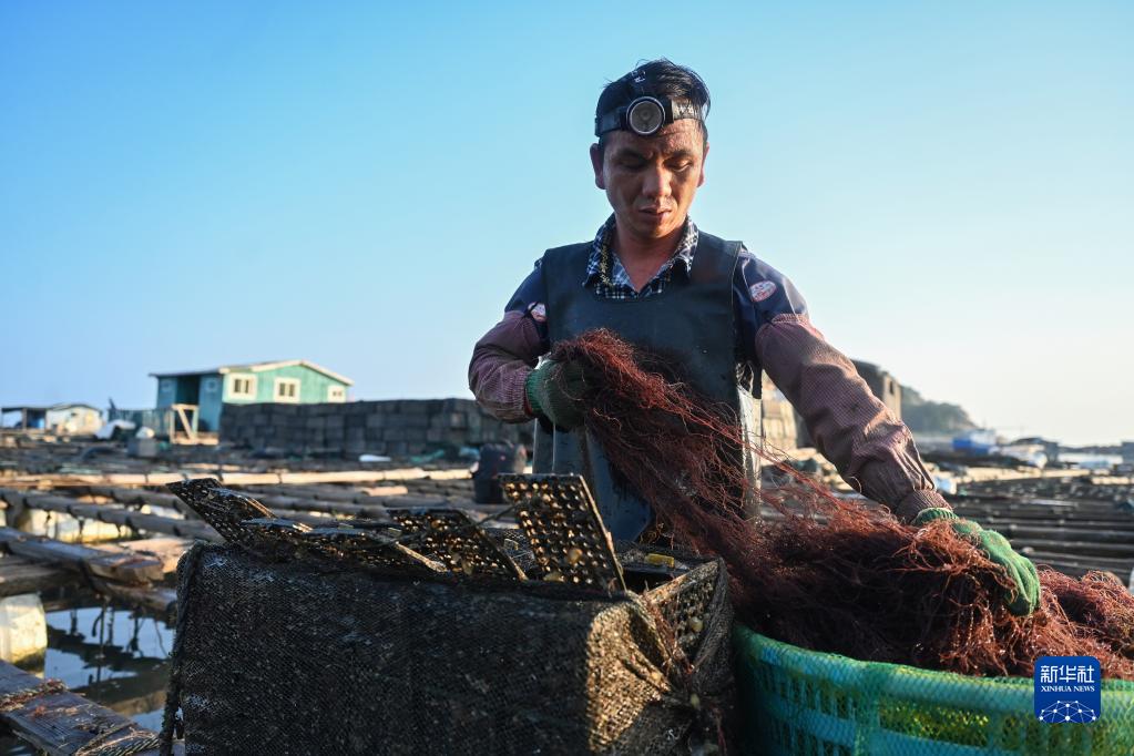 福建连江：海洋产业助力乡村振兴