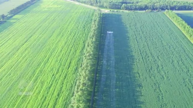 焦点访谈丨稻菽千重浪 科技助丰年