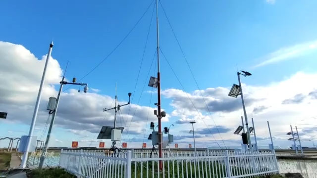 焦点访谈丨稻菽千重浪 科技助丰年