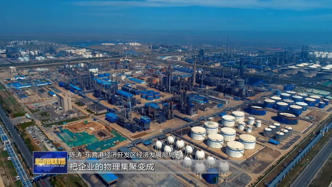 山东：完善产业链条 培优培强特色产业集群