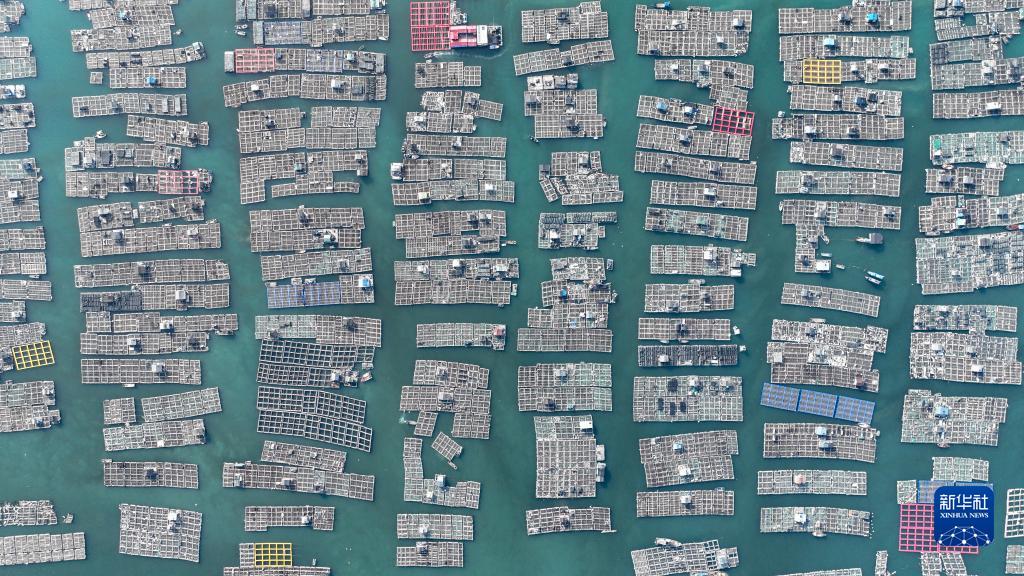 福建连江：海洋产业助力乡村振兴
