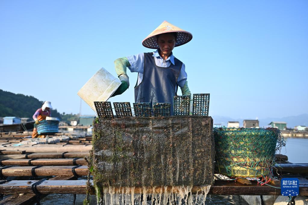 福建连江：海洋产业助力乡村振兴