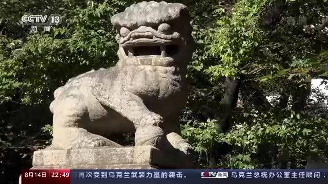 世界周刊丨被掠走的国宝——唐鸿胪井刻石