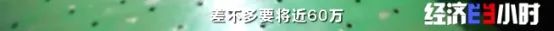 全球约6成鞋产自这个小镇！但有品牌竟一双卖3.5元？曾年销售额超一亿元的鞋厂，如何“背水一战”？