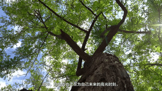 谨记习近平总书记教诲，她成了传递焦裕禄精神的星星之火