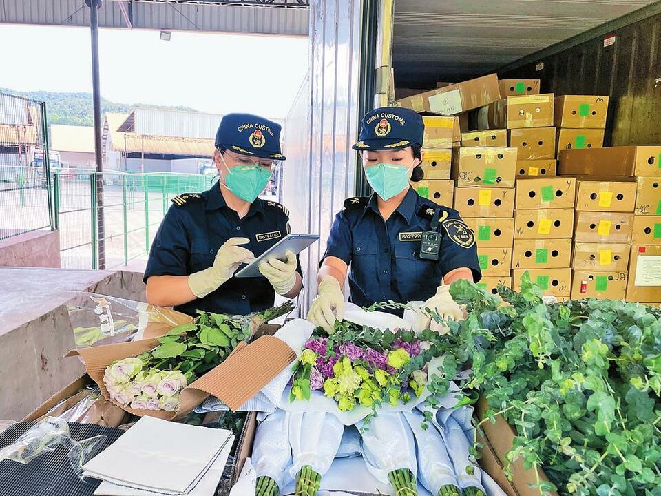 西双版纳勐腊：绿色通道助鲜花出口_fororder_dd