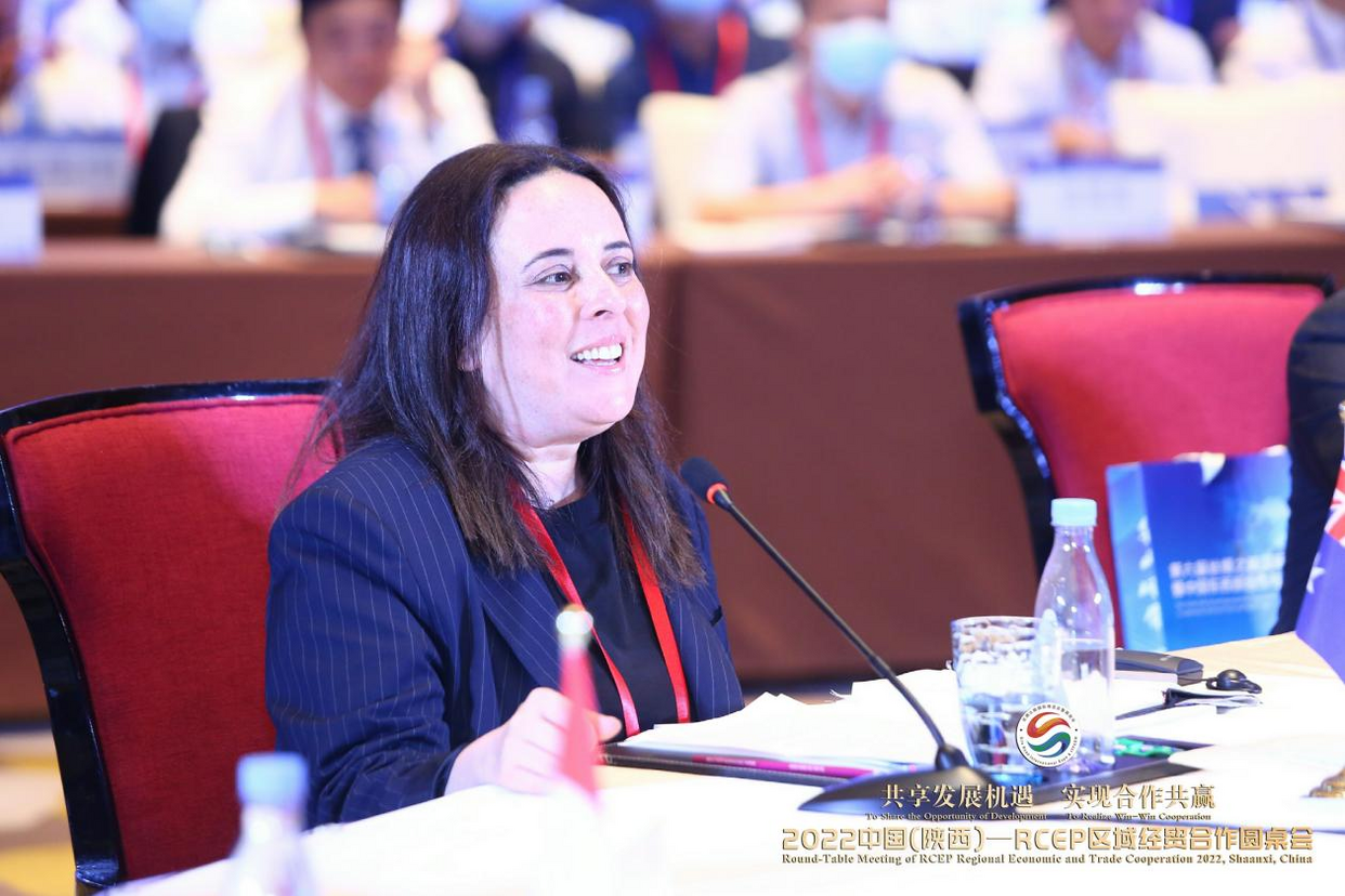 Round-Table Meeting of RCEP Regional Economic and Trade Cooperation 2022, Shaanxi, China Held in Xi'an_fororder_图片23