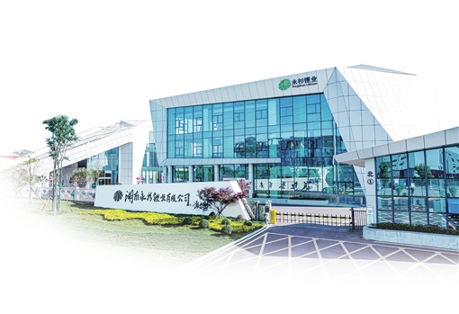 长沙望城区打造高能级项目“引力场”，勇当“强省会”战略排头兵_fororder_3