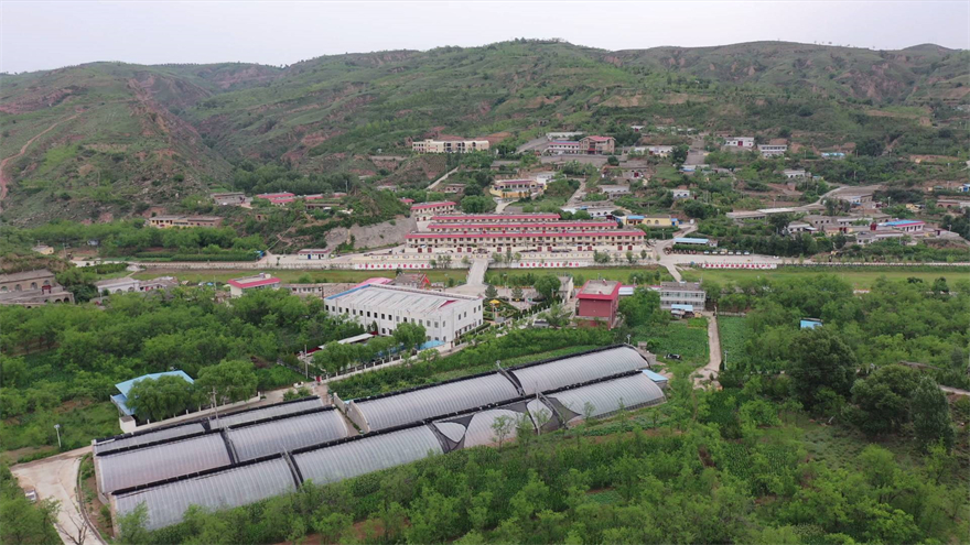 榆林市府谷县林业局：多措并举建设生态宜居乡村_fororder_图片12