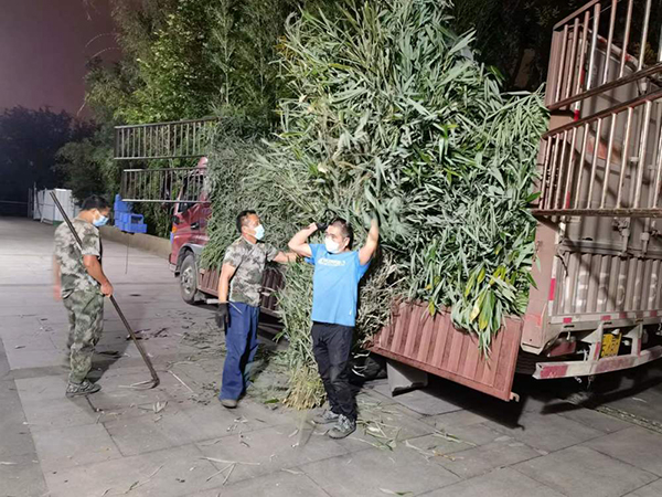 别担心！静下来的斧头山 大熊猫依旧幸福_fororder_工作人员正在搬运动物食物-供图-成都大熊猫繁育研究基地