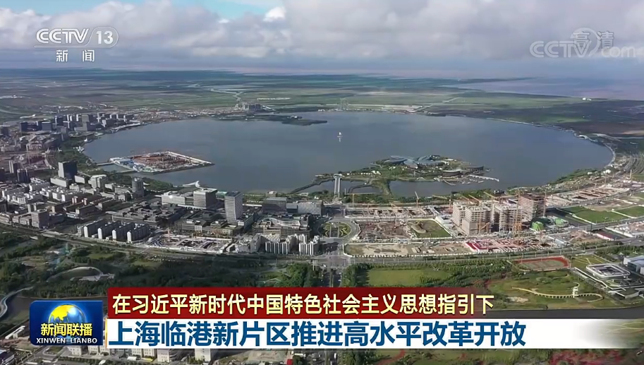 【在习近平新时代中国特色社会主义思想指引下】上海临港新片区推动高水平改革开放