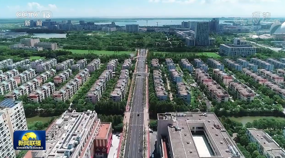 【在习近平新时代中国特色社会主义思想指引下】上海临港新片区推动高水平改革开放
